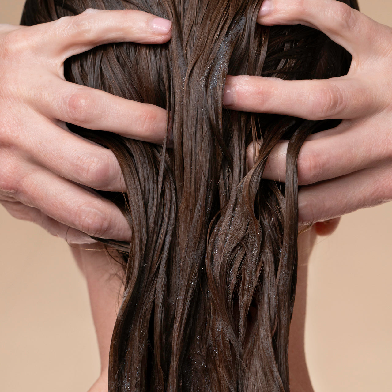 Rosemary & Biotin Volumizing Conditioner - Image 4