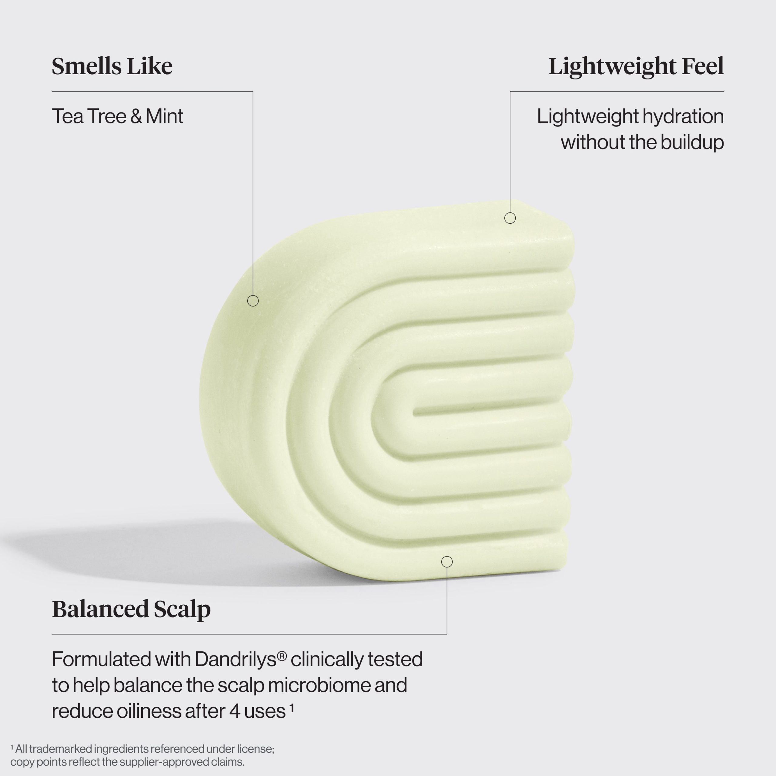 Tea Tree & Mint Clarifying Shampoo & Conditioner Bar Combo - Image 5