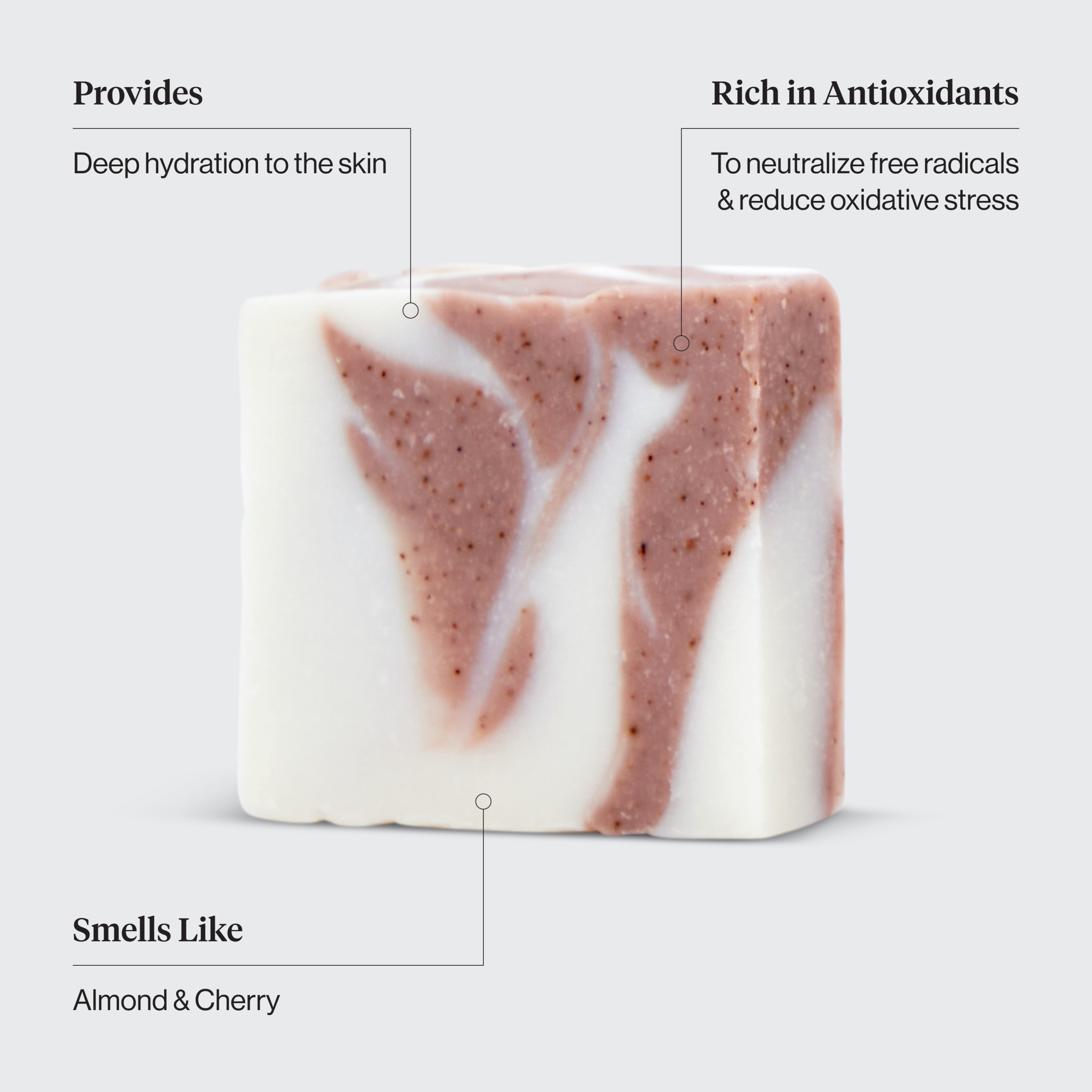 Shea Butter Exfoliating Body Wash - Image 3